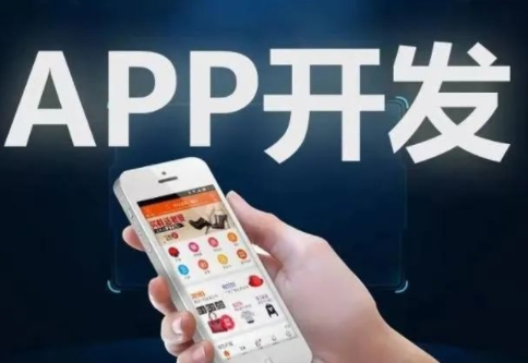專業(yè)的APP開發(fā)公司